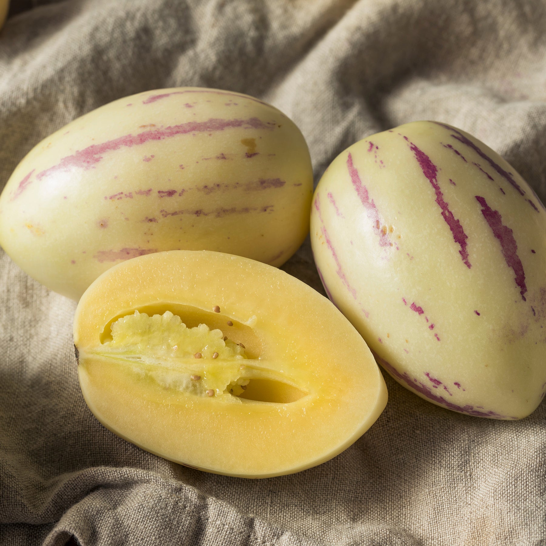 Pepino - Solanum muricatum