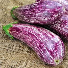 Zonnige groentenzaden Mix