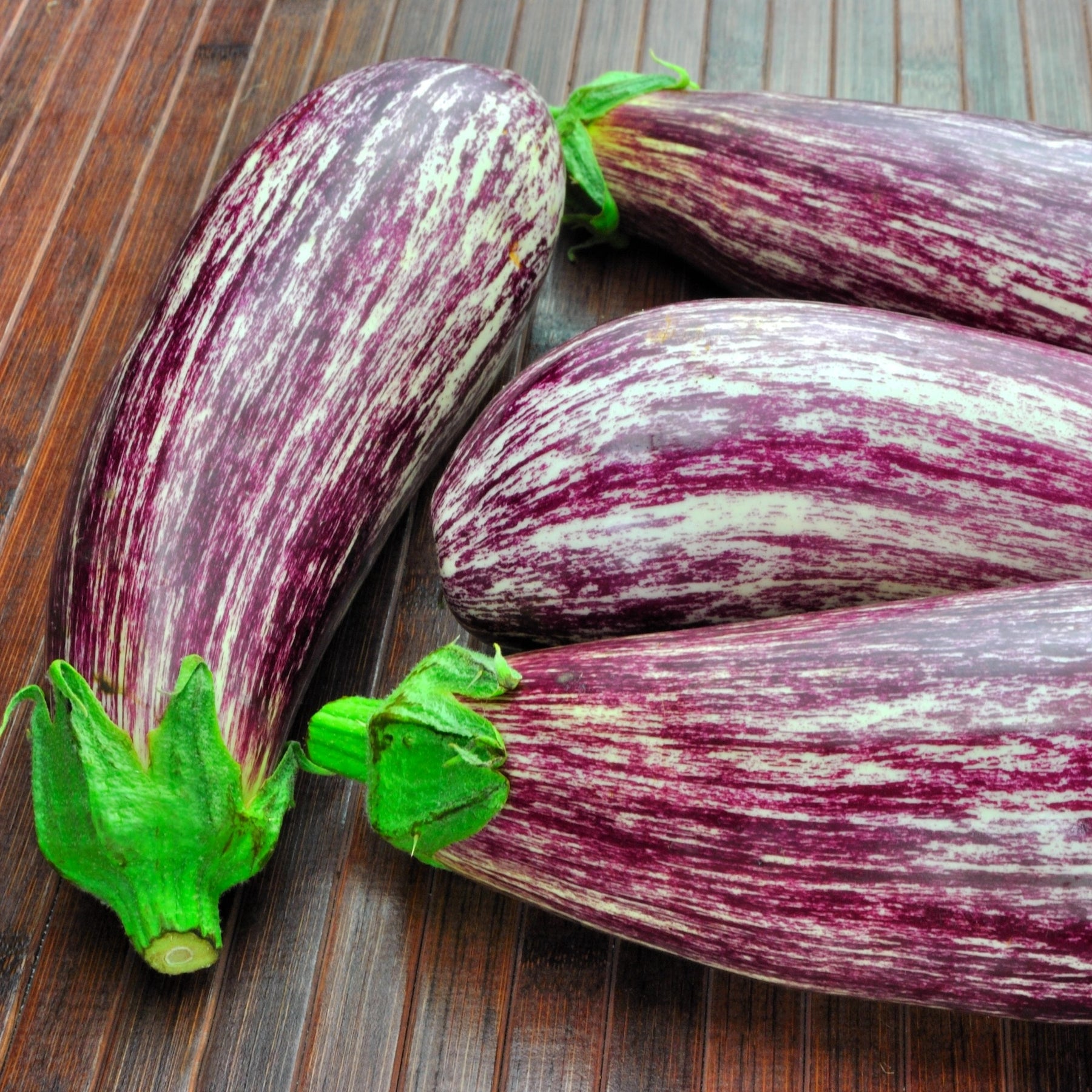 Aubergine 'Listada de Gandia' - Willemse