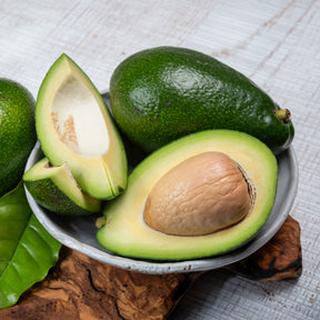 Exotische fruit - Avocadoboom Bacon - Persea americana var. Bacon (De greffe)