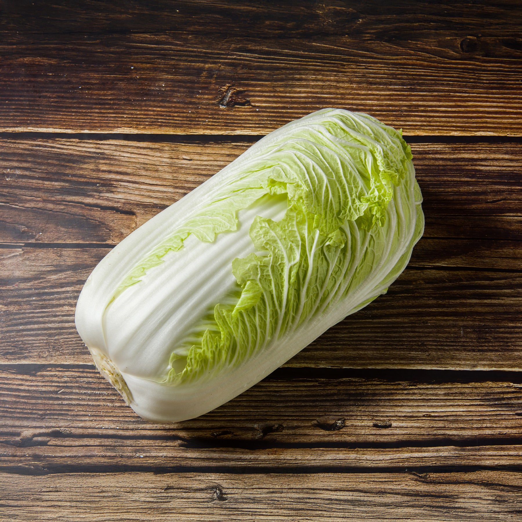 Chinese kool 'Pe-Tsai' - Willemse