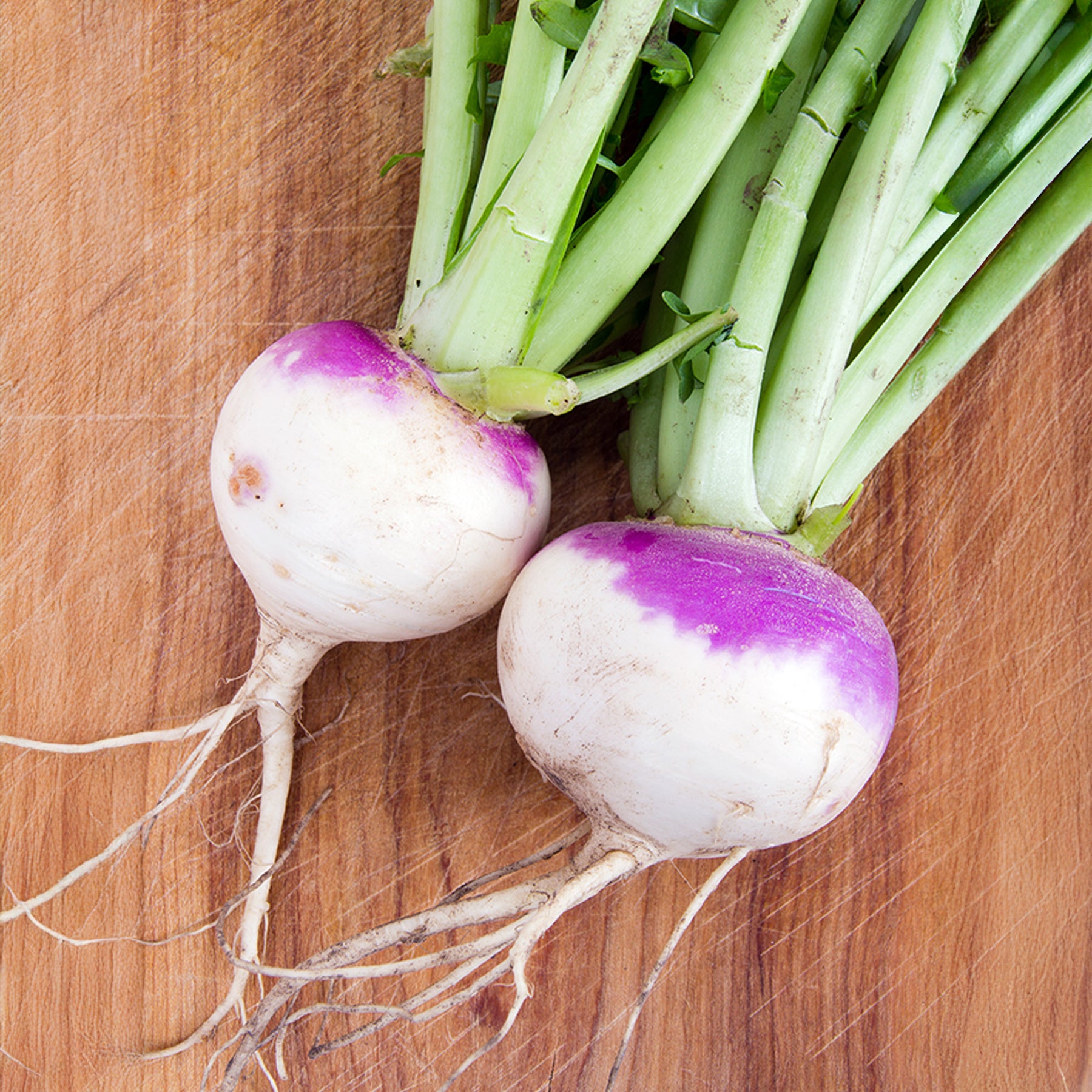 Raap 'd'Auvergne Tardive' - Willemse