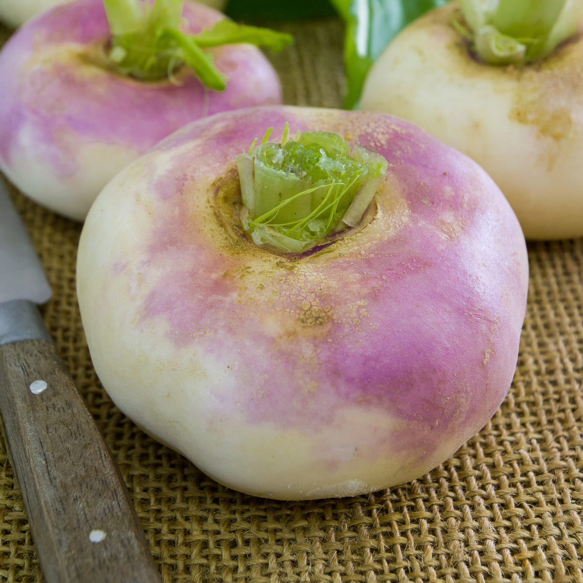 Raap 'Milanese Witte Roodkop' - Willemse