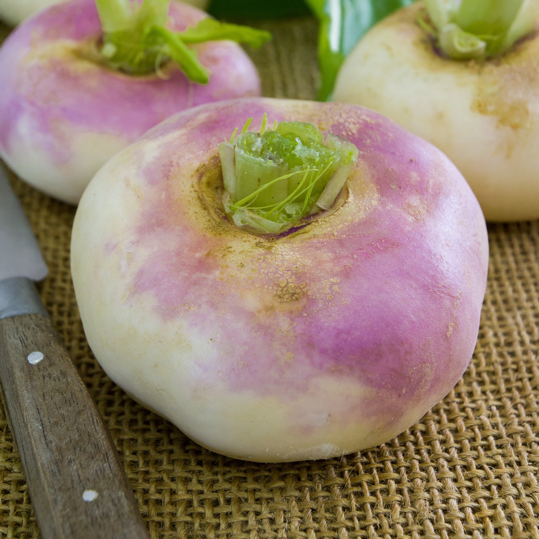 Raap 'Milanese Witte Roodkop' - Willemse