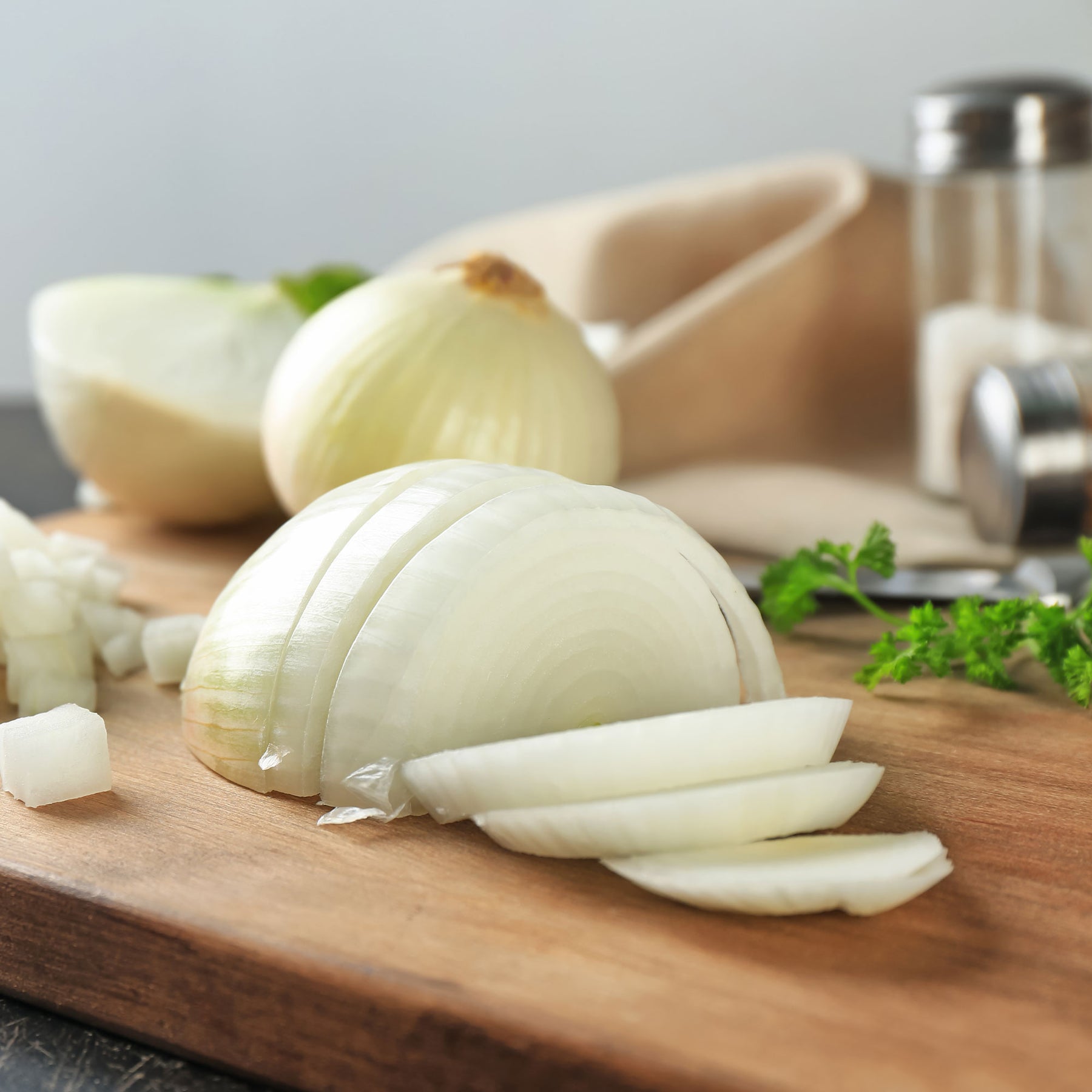 Verkoop Ui 'Snowball' - Allium cepa snowball