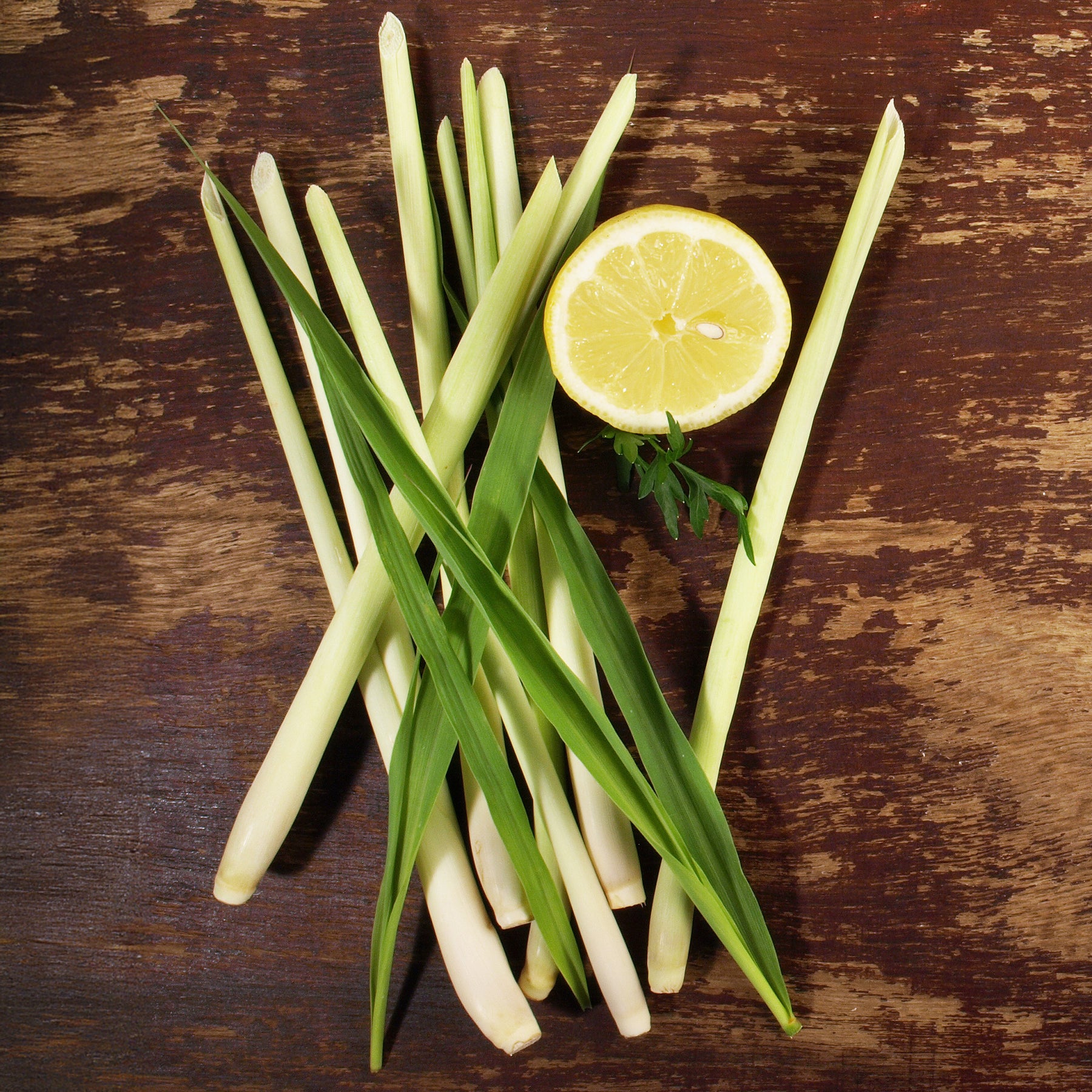 Citroengras - Willemse