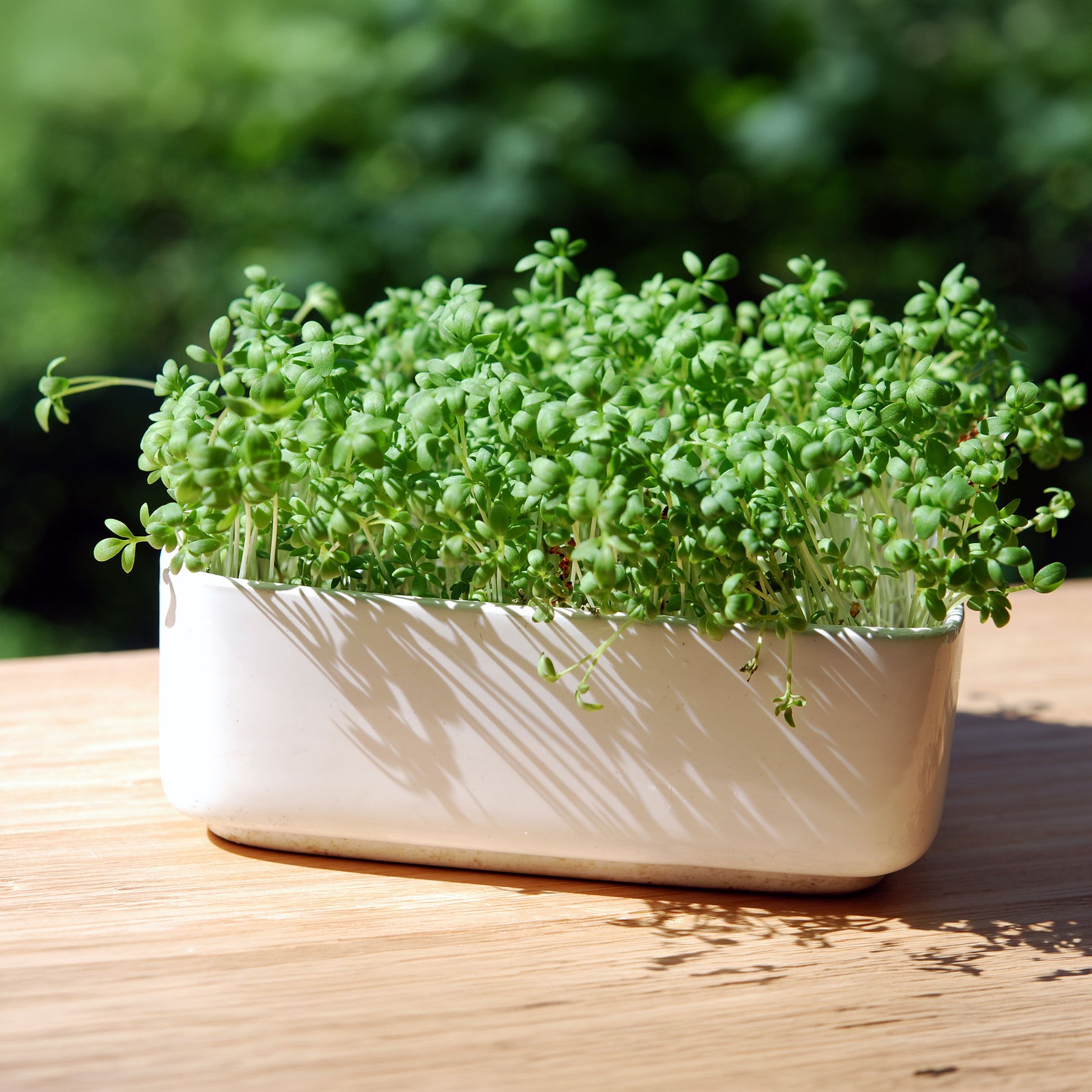 Tuinkers Cresso Bio - Willemse
