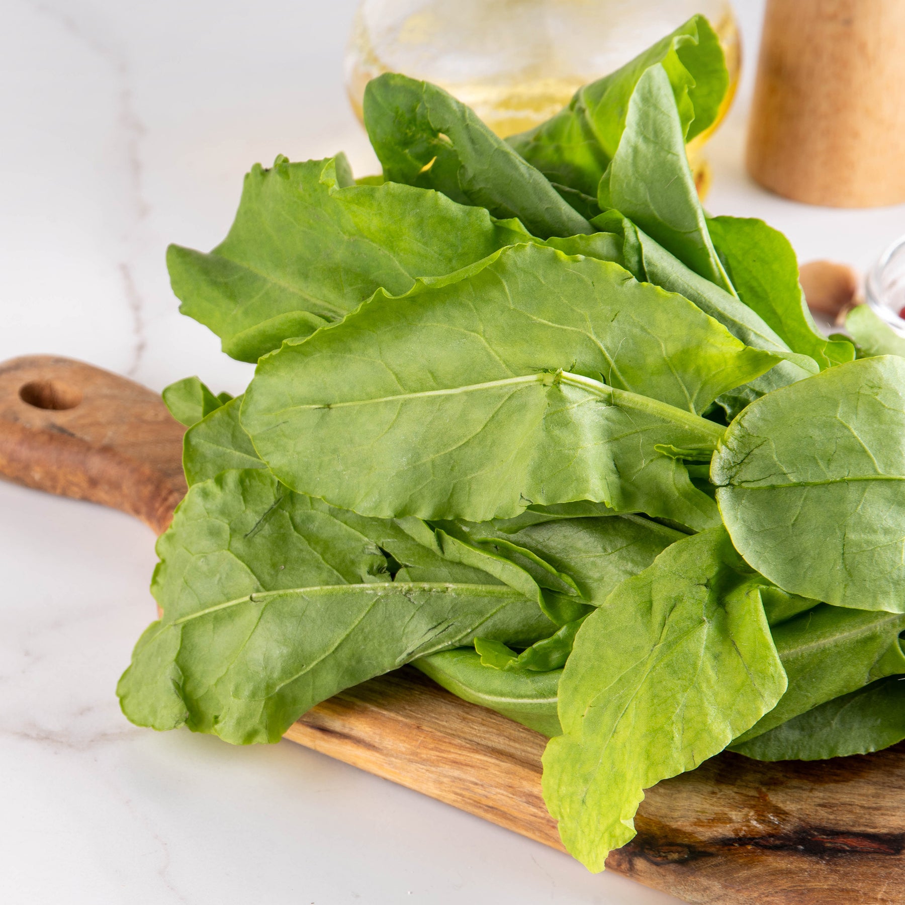 Veldzuring 'Green de Belleville'