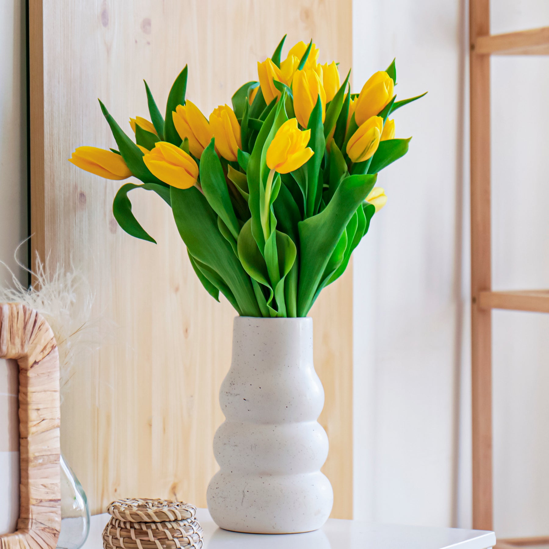 Tulpen - Langstelige tulp geel (x5) - Tulipa