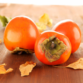 Kakiboom 'Rojo Brilliante' - Willemse