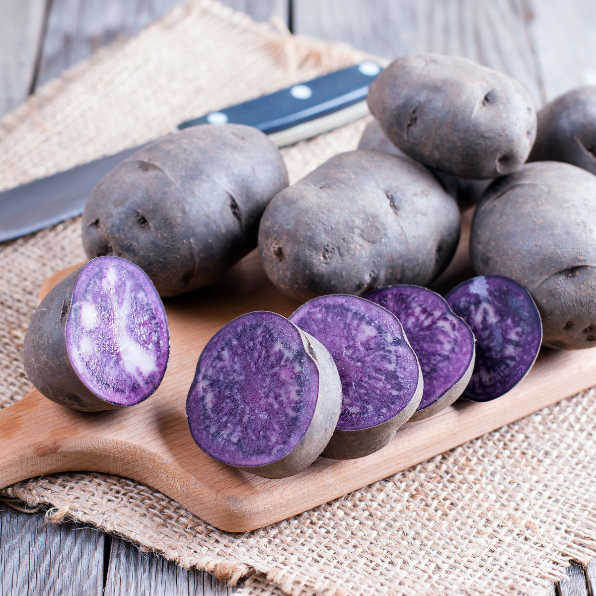 Aardappel 'Ulysse' - BIO - Solanum tuberosum ulysse - Willemse