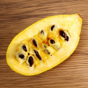 Asimina Triloba Prima -  - Exotische fruit