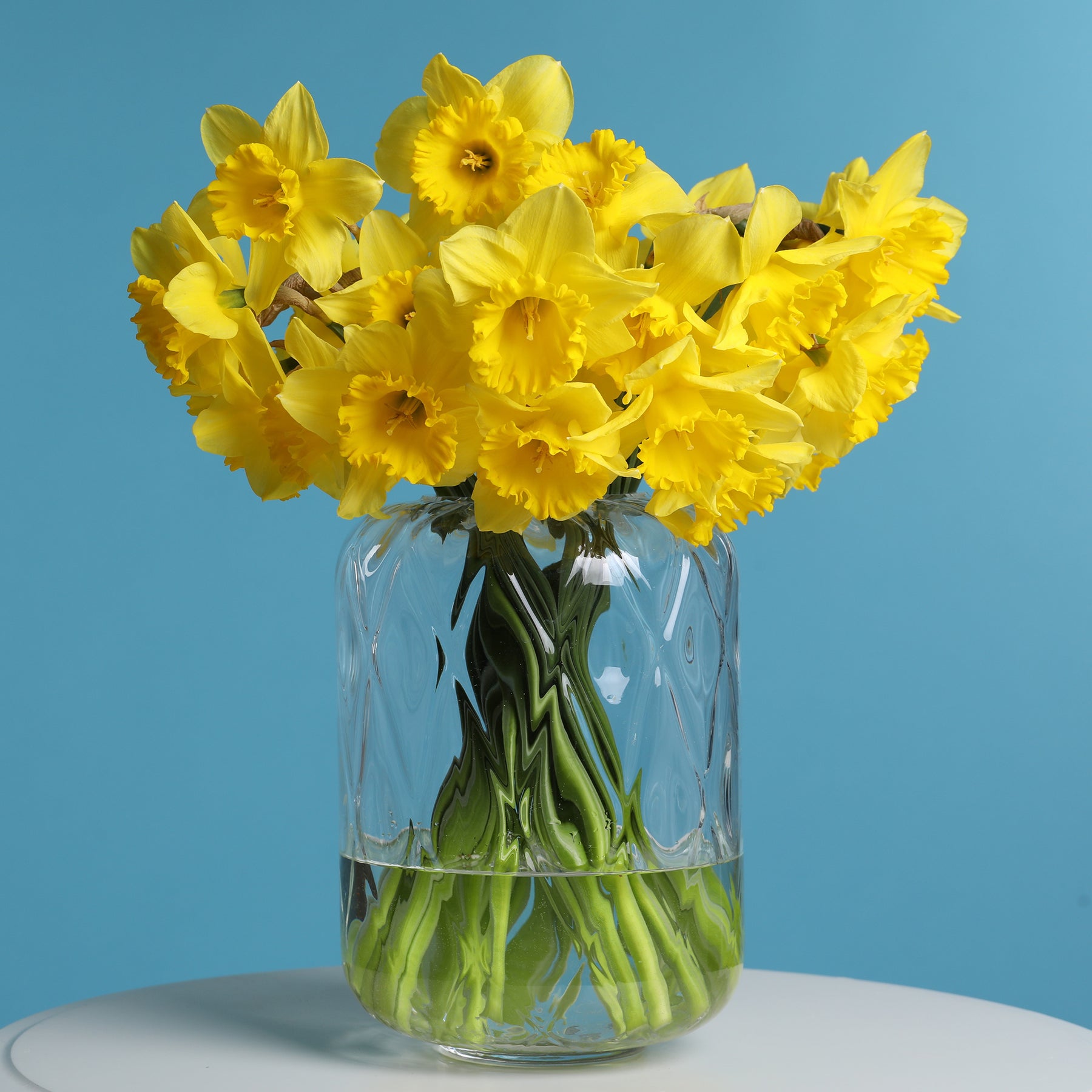 Verkoop Narcis 'Dutch Master' (x5) - Narcissus 'dutch master'