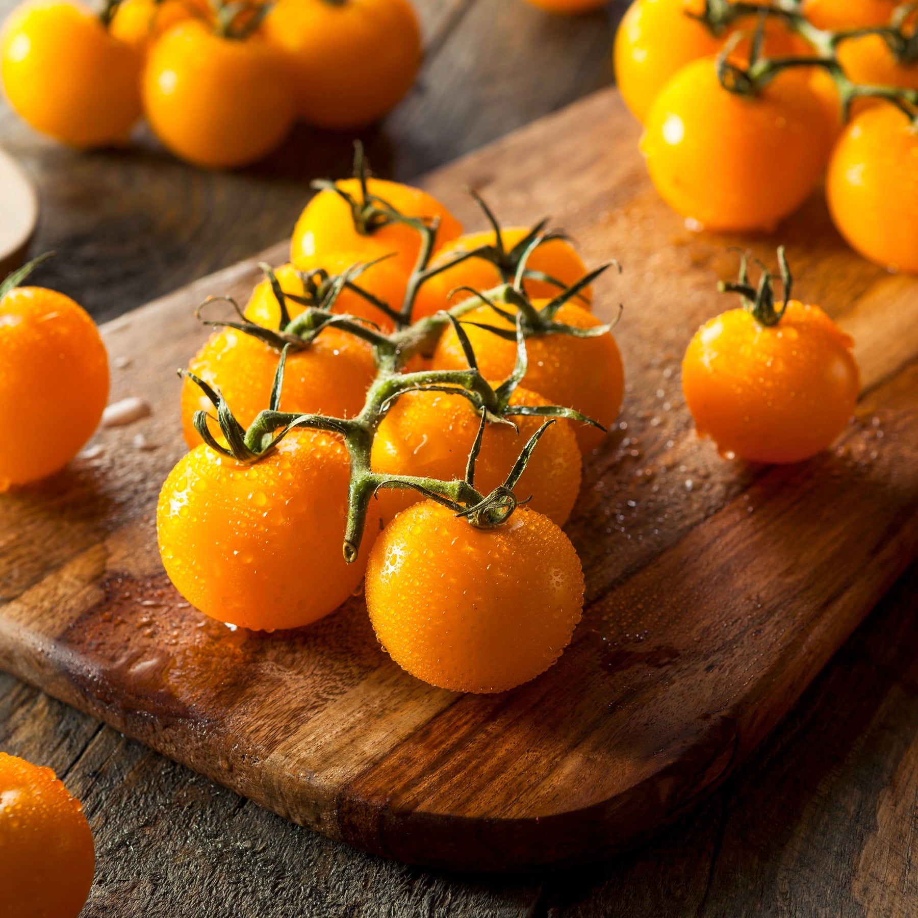 Tomaten pakket Solanum 'Toffe Tomaten' - Groentezaden - Solanum lycopersicum cocktail raisins jaunes - Willemse