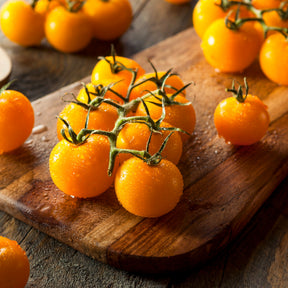 Tomaten pakket Solanum 'Toffe Tomaten' - Groentezaden - Solanum lycopersicum cocktail raisins jaunes - Willemse