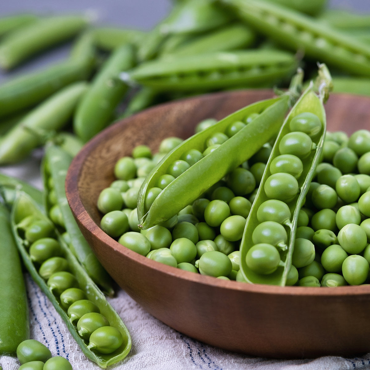 Erwt Plein le panier - Willemse