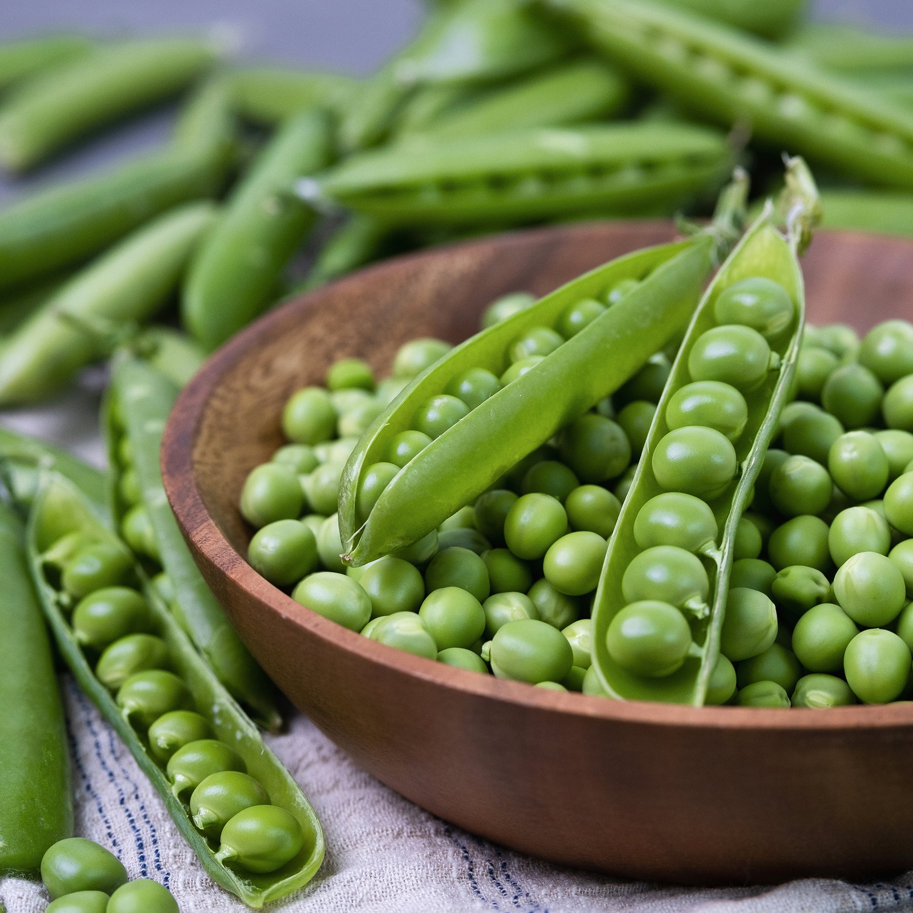 Erwt Plein le panier - Willemse