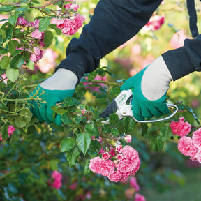 - Groen met grijze Rosier handschoen - Tuiniersuitrusting
