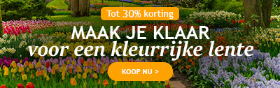 Een kleurrijke lente: tot 30% korting!