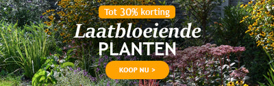 Laatbloeiende planten tot 30% korting!