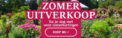 De zomeruitverkoop beginnen: tot 40% korting!