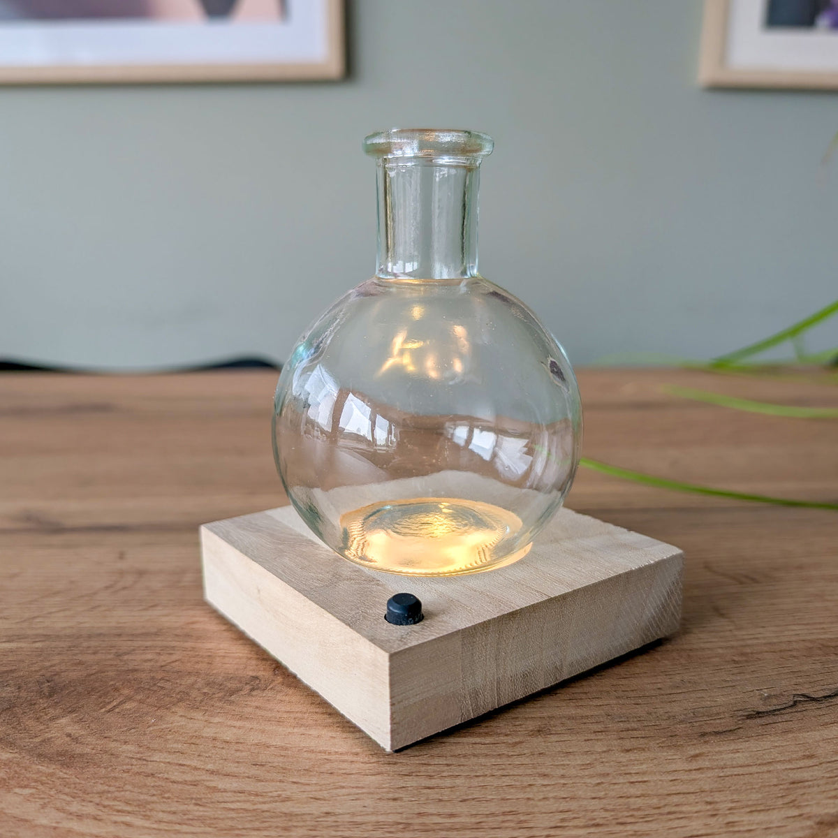 Hydro vaasje 'Samoa' + LED verlichting - Willemse