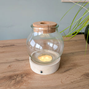 Vaas met verlichte houten standaard