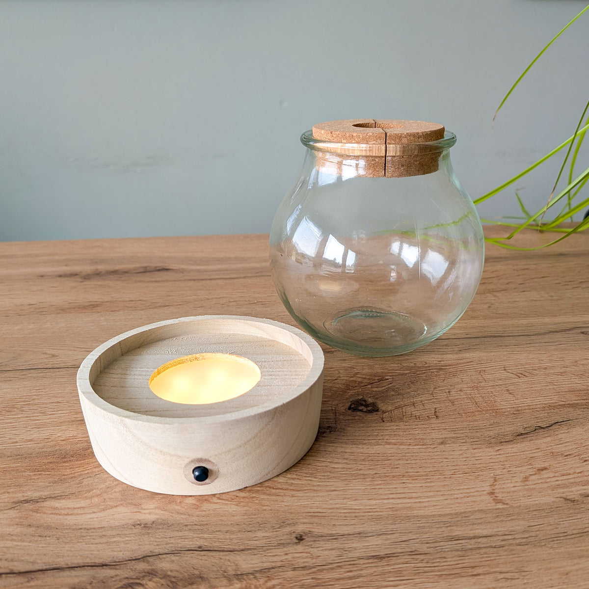 Hydro bolglas + LED verlichting -  - Willemse