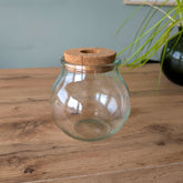  - Hydro bolglas - Kamerplantencombinaties