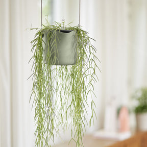 Hangpot B voor swing lichtgroen ELHO - Hangpotten - Willemse