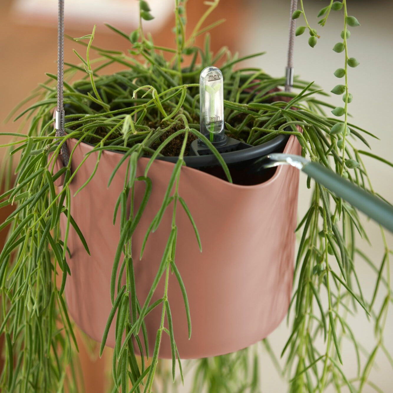 Hangpot B voor swing roze ELHO - Hangpotten - Willemse