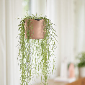 Verkoop Hangpot B voor swing roze ELHO - Hangpotten