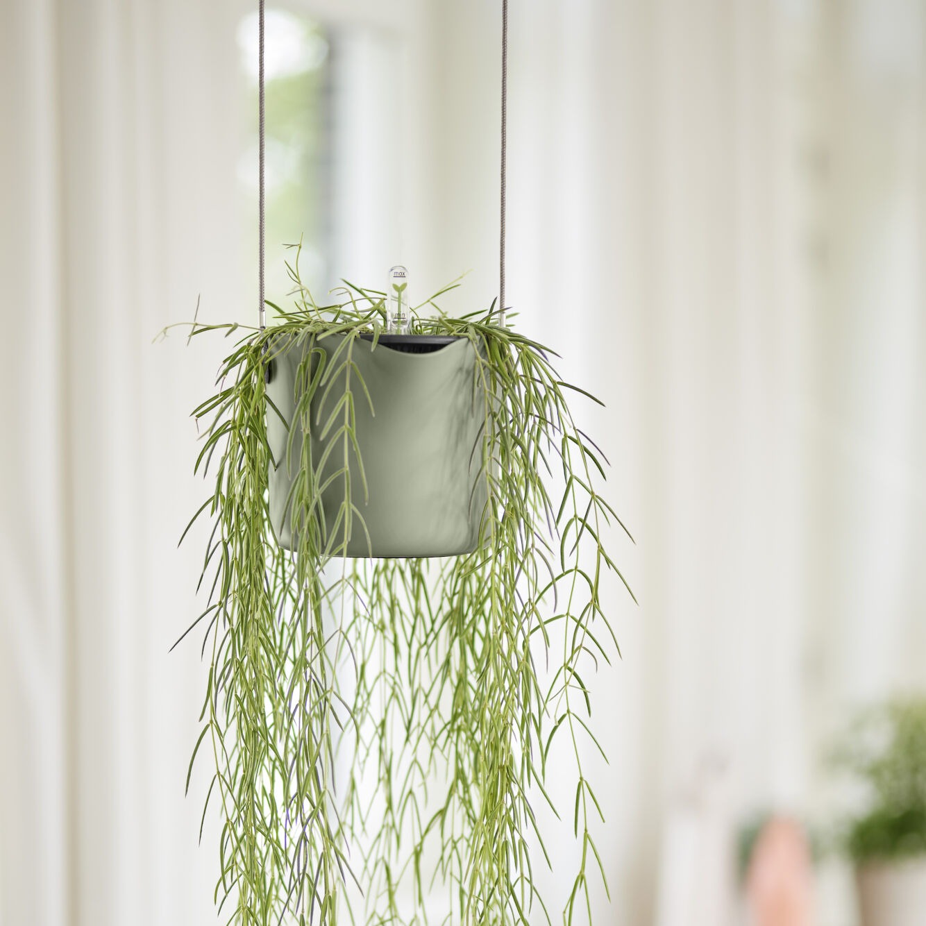 Ophangsysteem B voor schommel Wit ELHO - Binnenpotten - Willemse