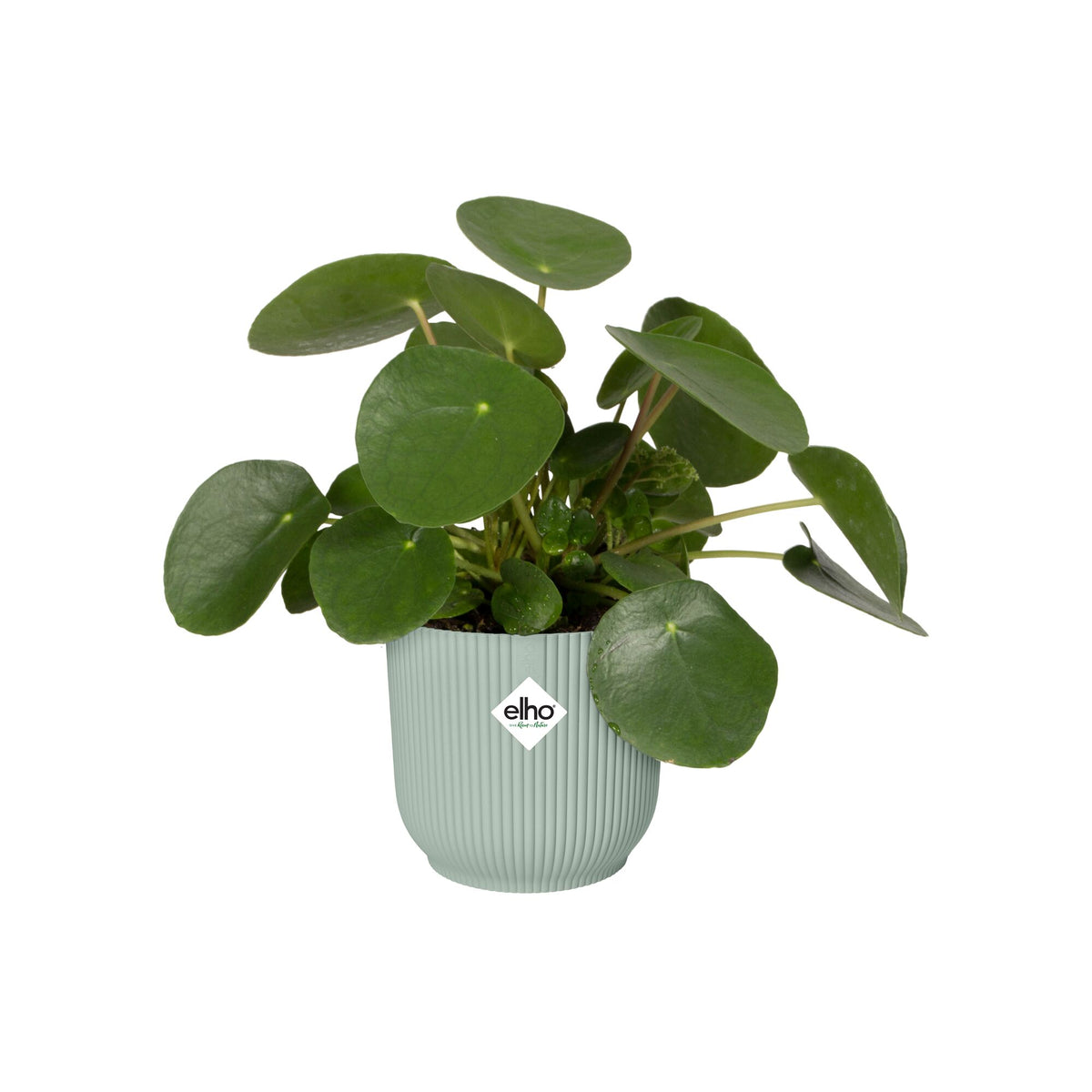 Elho Bloempot Vibes fold rond sorbet groen -  - Willemse