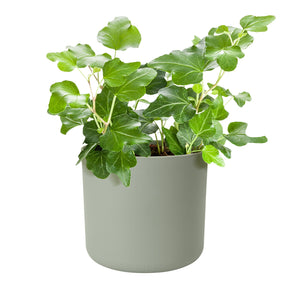 Elho Bloempot B for soft rond steengroen