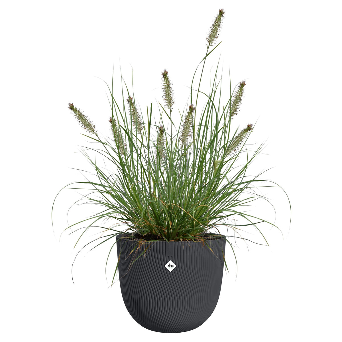 Bloempot Sereh rond antraciet -  - Willemse