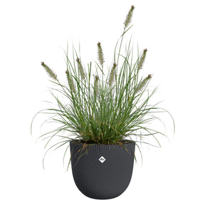 Bloempot Sereh rond antraciet -  - Willemse