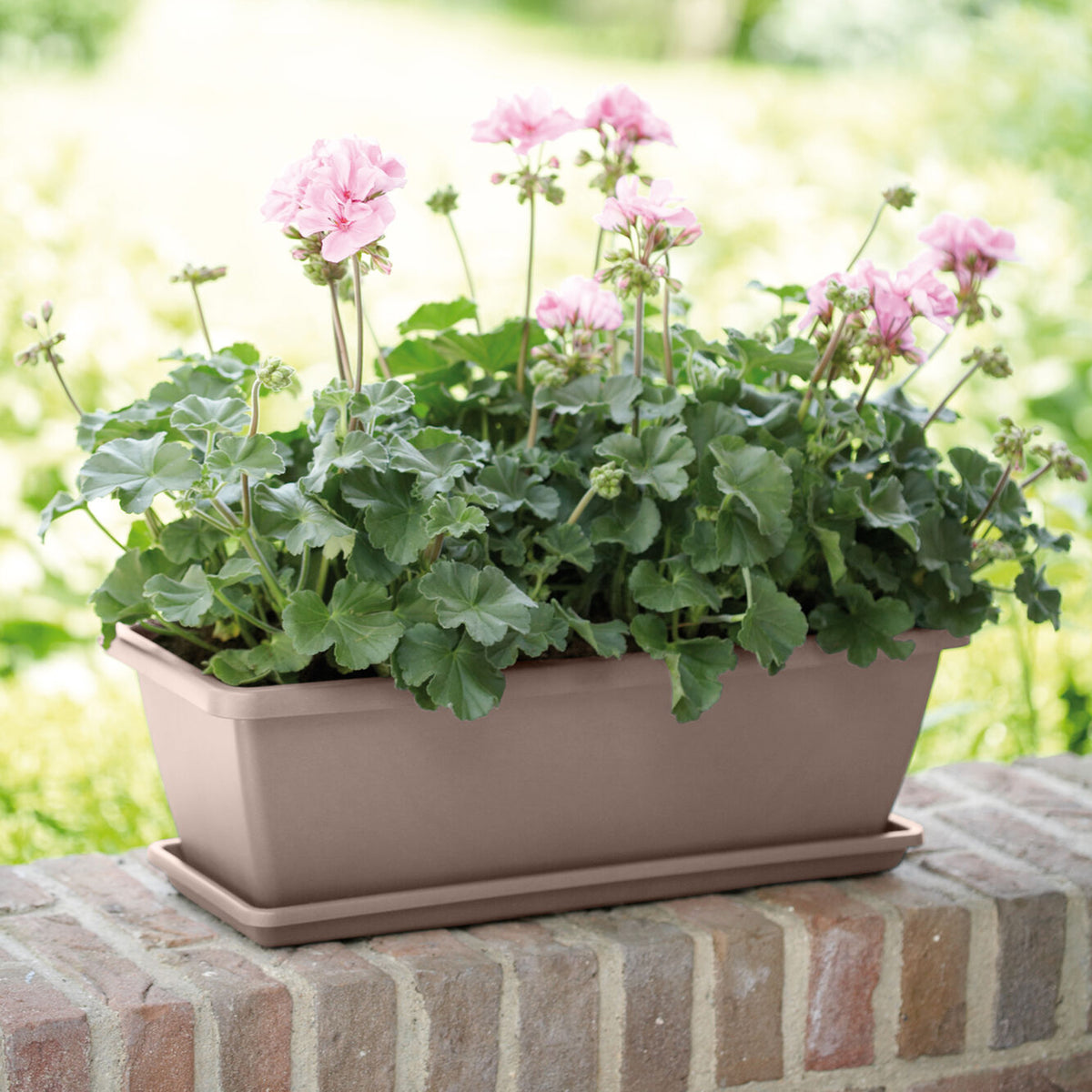 Plantenbak Barcelona Taupe - Willemse