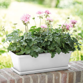 Plantenbak Barcelona Wit - Willemse