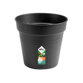 Kweekpot Green Basics Living Black - Willemse