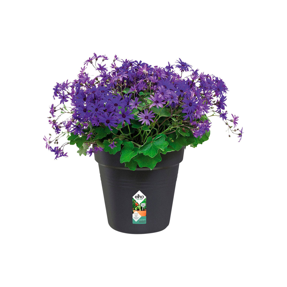  - Kweekpot Green Basics Living Black - Buitenpotten