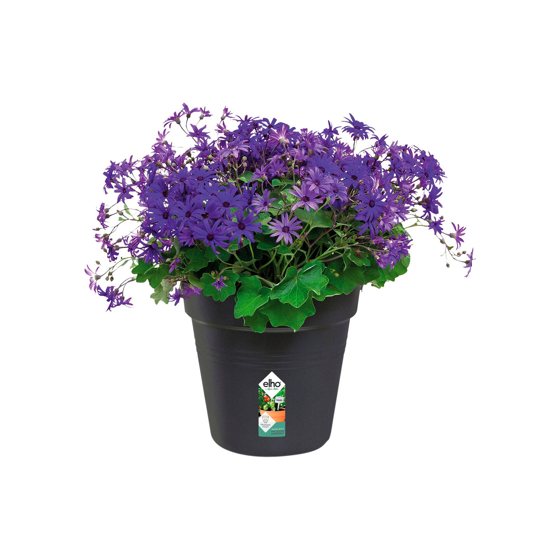  - Kweekpot Green Basics Living Black - Buitenpotten