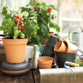 Verkoop Kweekpot Green Basics Mild Terra - 