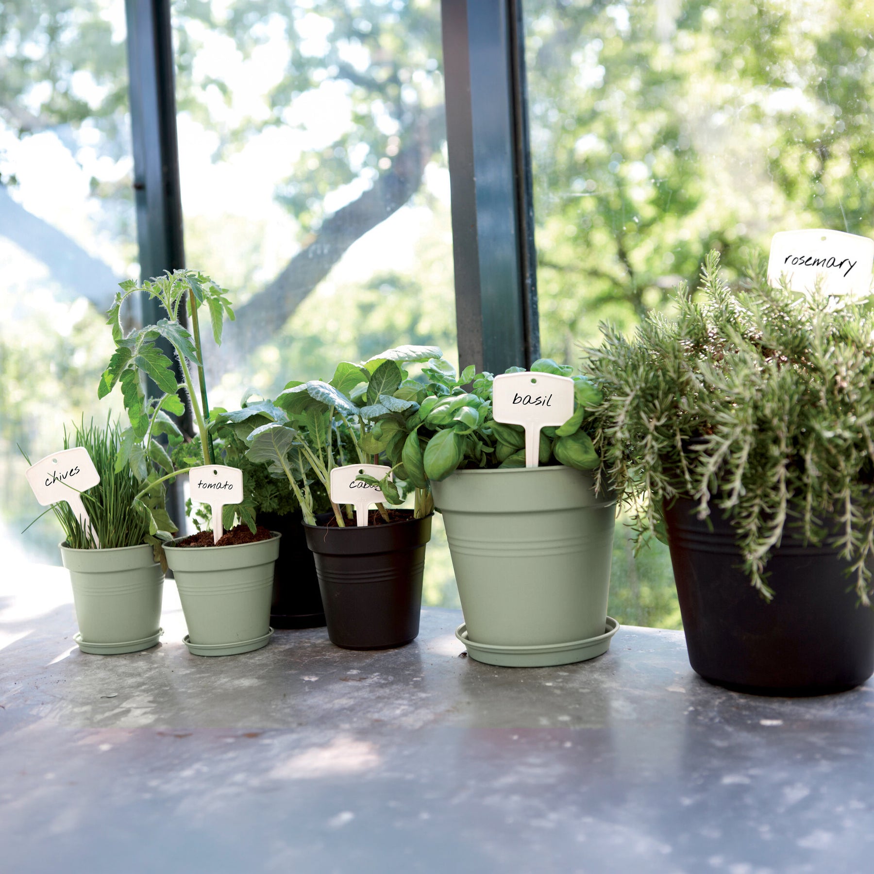 Kweekpot Green Basics Mild Terra -  - Willemse