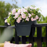 Vibia Campana Flower Bridge Antraciet -  - Willemse