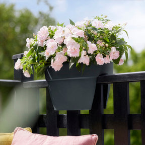 Vibia Campana Flower Bridge Antraciet -  - Willemse