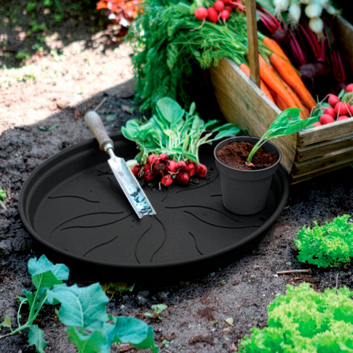 Schotel Green Basics  Living black ELHO -  - Willemse