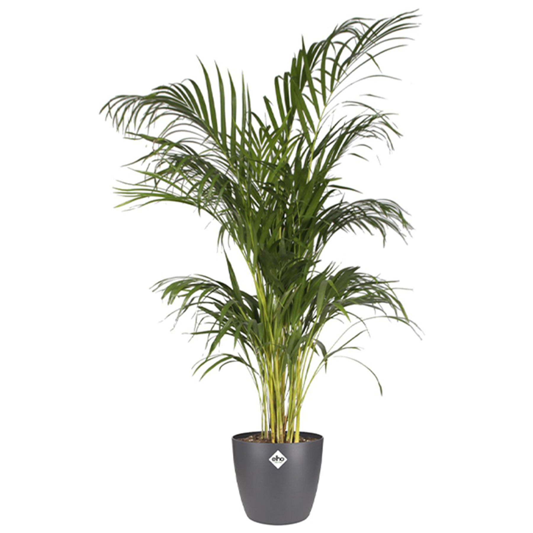 Elho Bloempot Brussels rond -  antraciet