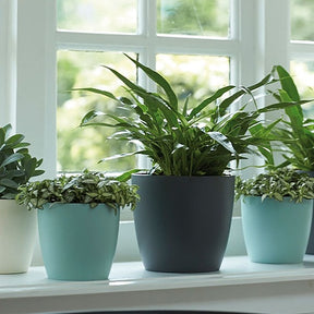 Elho Bloempot Brussels rond -  antraciet