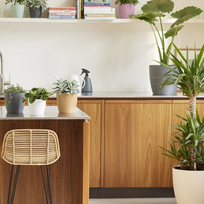 Elho Bloempot Brussels rond -  antraciet